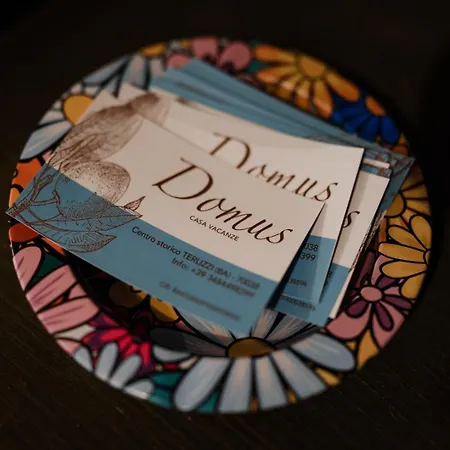 Domus 泰尔利齐